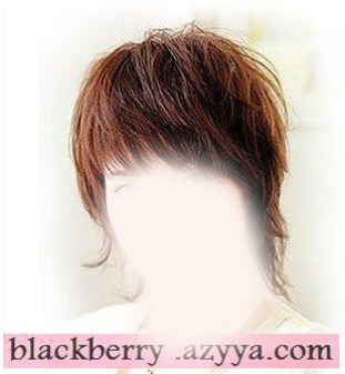 ���� ������ ����� 2013���� ���� ������ ��� ����� ����� �����