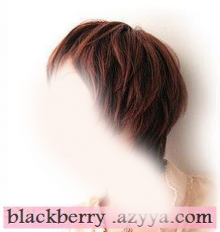 2013������� ����� ������ 2013 ��� ���� ��� 2013������ ���� ����