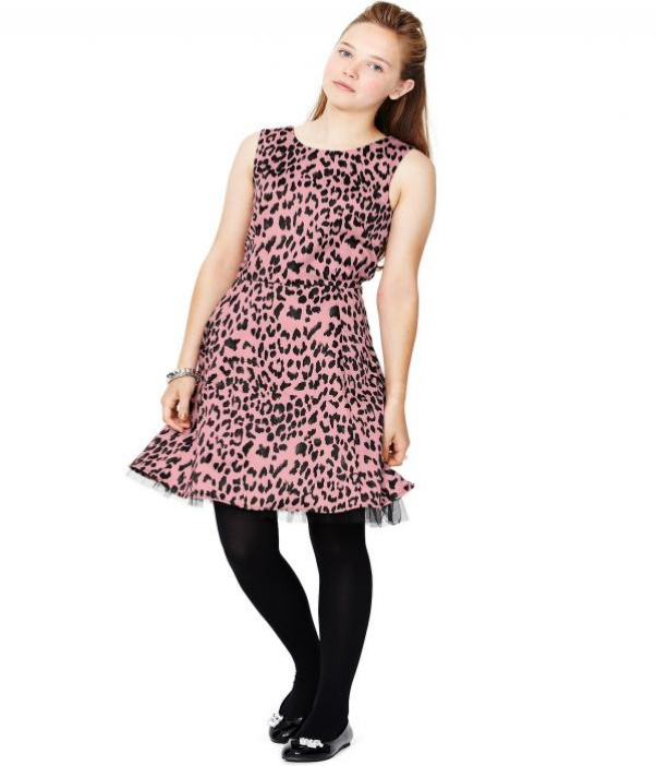 ��� 2013 - ����� ������ ���� ������� ����2013( ��� ����