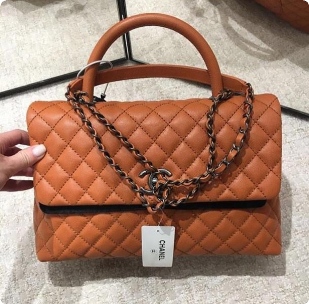      Kenzo Roger Vivier  BottegaVenetta