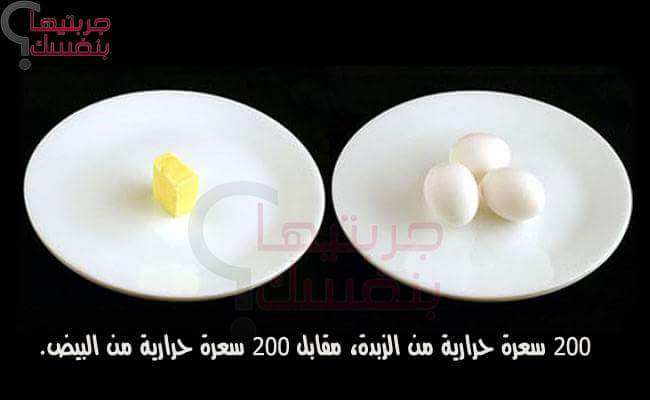  ������ ����� 