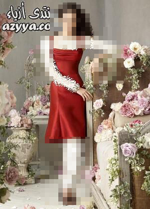 2013 SAG Awards     2013  