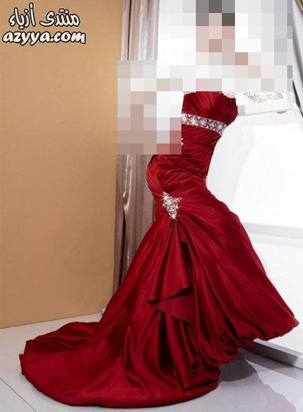   Pronovias  2013  2012_2013   