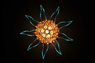 2013-2012���� ����� ��� ������� ������� ����� ���� ����� ������ 2013�����