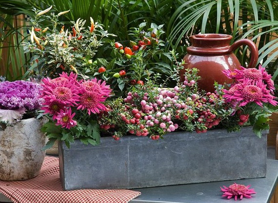 [IMG] [\/IMG]     ...   