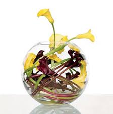 ������ ����������� ������ ������� �� ������� ������� ����������� ��������� �����