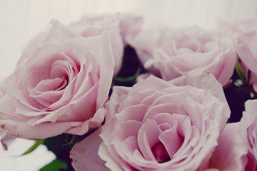  ������ ��� �������� ����� ����� ������� .. ���� ���