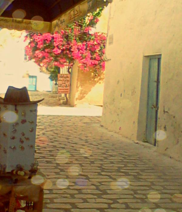  ������ ��� ���