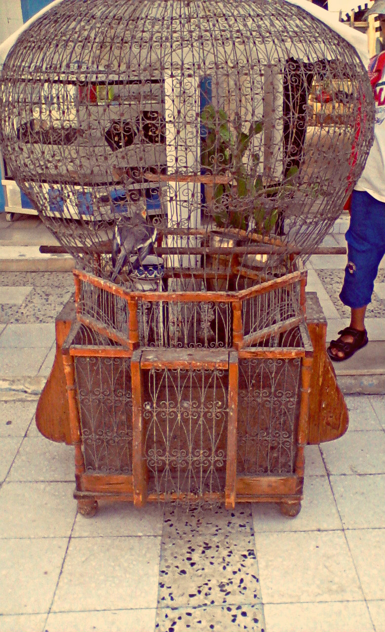 ������ �������������� �� ����� ������ ������ ������ ������ ��������� ��