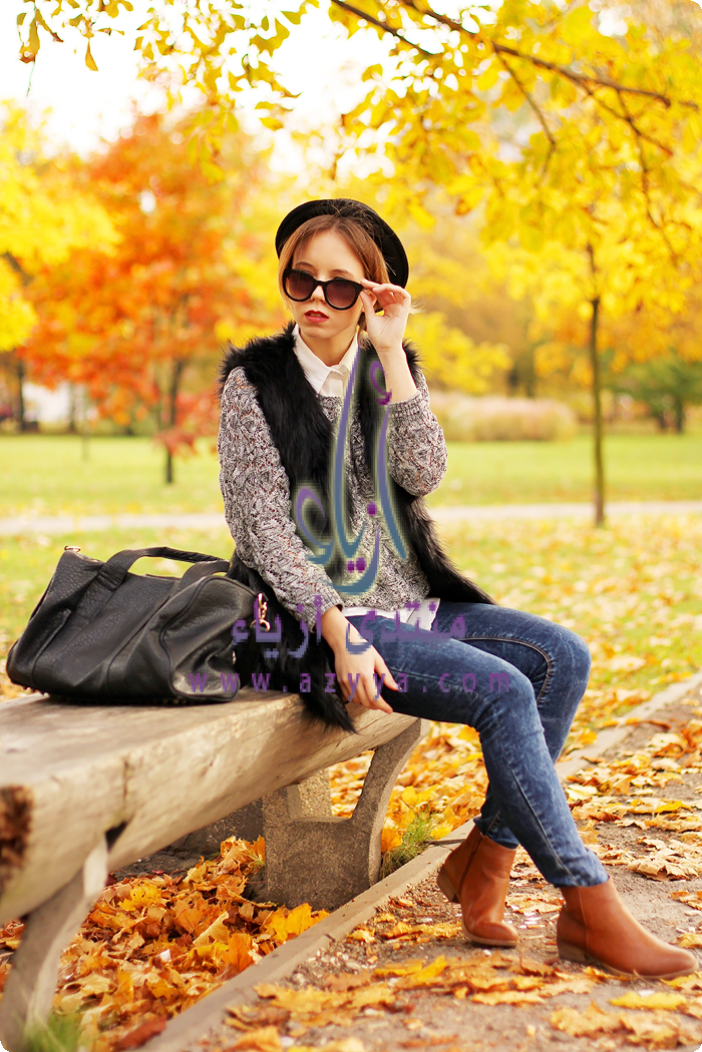 �� ���� ������� ���� ����� 2012 2013������ ����� ������ ������