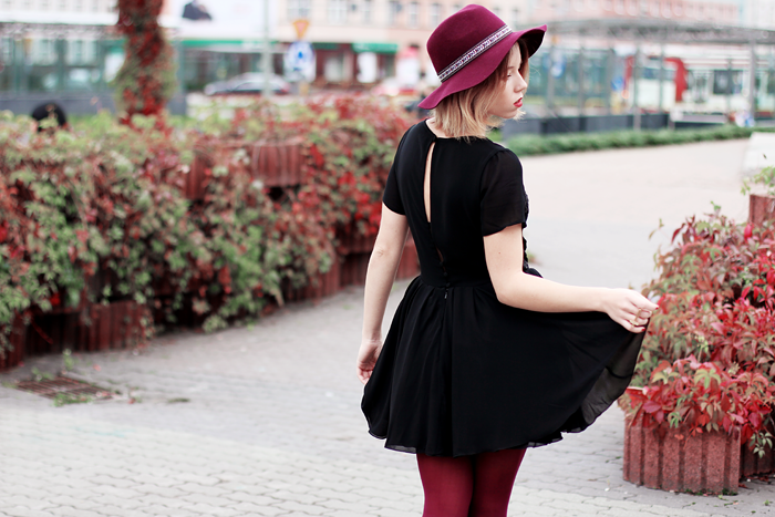 ���� ���� 2013 