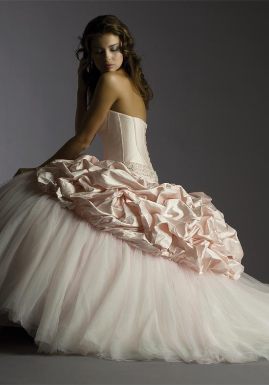   -  2013     Pronovias