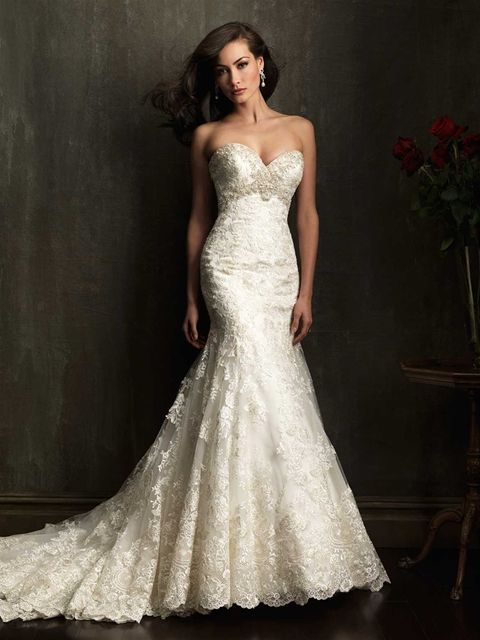  2013     Pronovias  2013 