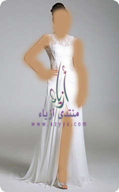 ****---  ---(2)---  ---(3)---  ---   2013