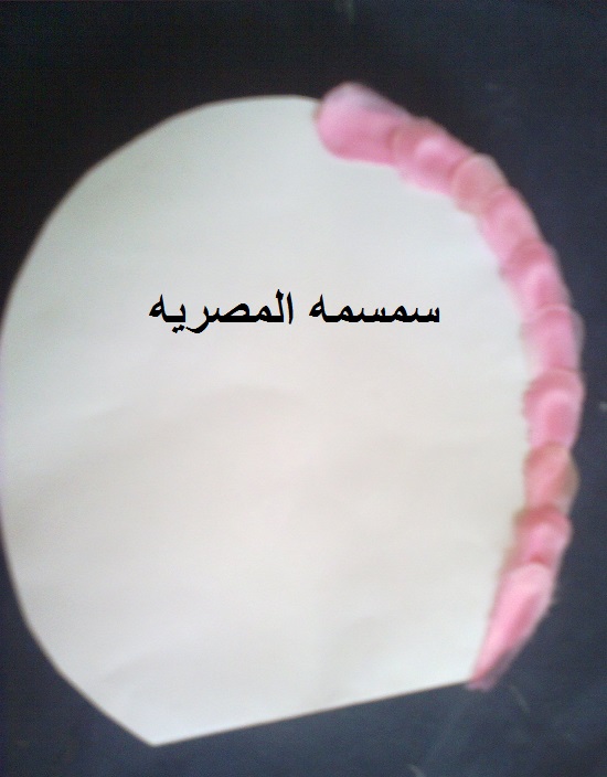 ���� �� ���� 