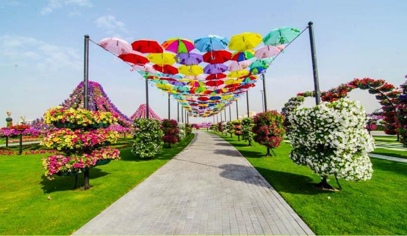  ❀  dubai miracle garden ❀ 