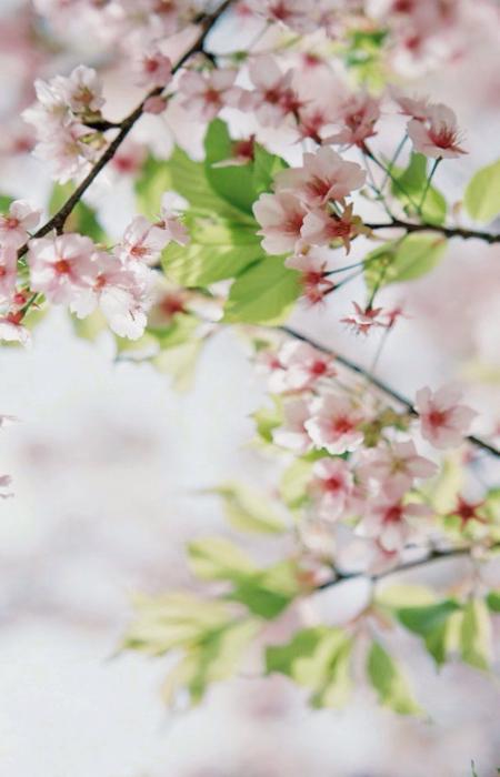  ε�з ������ ����� ������ ��ε�з 