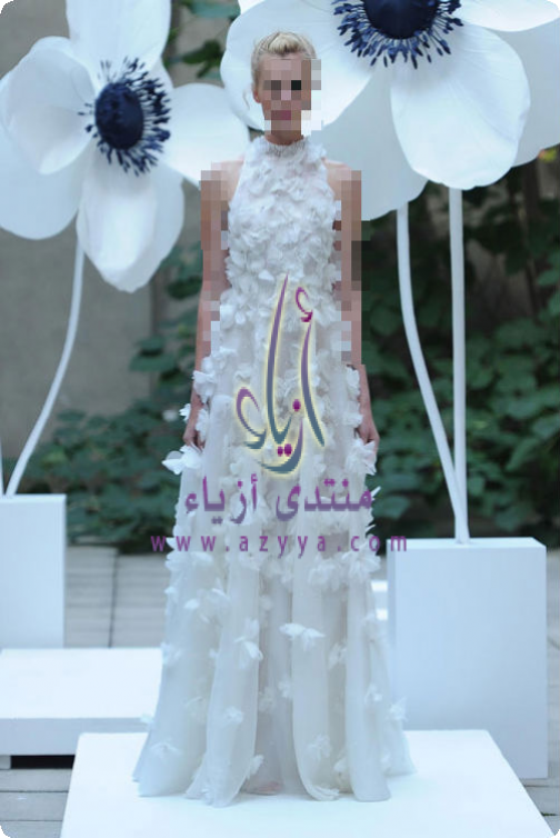 �����ݡ ����� ������ ��� �����.. ����� ������ �������� �������� ����