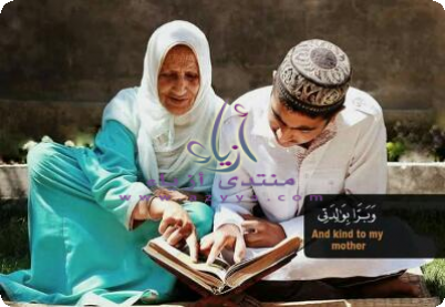  ���� ���� ��� ����� ������� ������� -���� ���� ����-���������