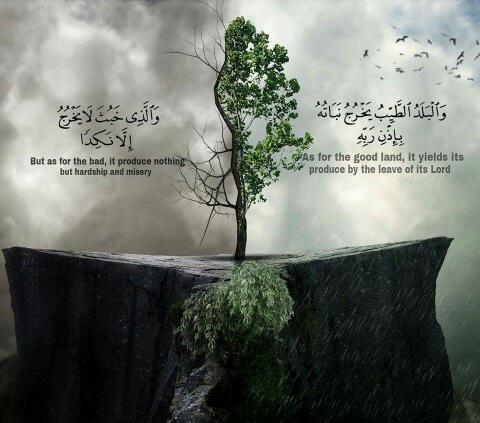  (����������� ���������� �������� ��������� �������� ������� ۖ ��������� ������