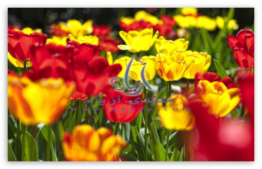  ✿..♥�������������������� ��✿..♥ 