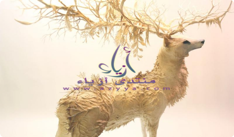 ���� ������� ����� ������� ���� �� ���� �� ������� �������