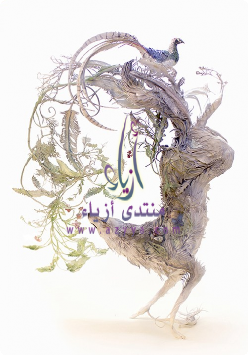 ���� �������! ♥ ●� ��������: ����� ���� �������� ������� ����