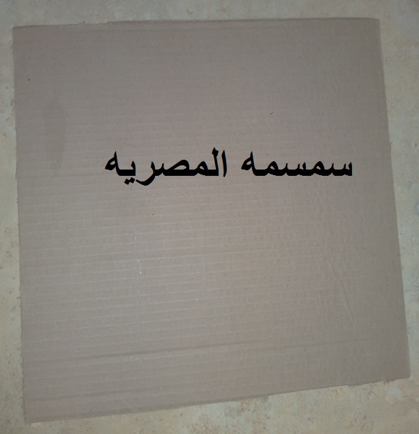  ��� ���� ������ ���� ���� �� ���� ���� �����