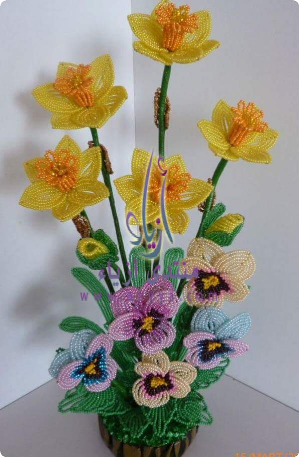  ��� � ��� ������ && 